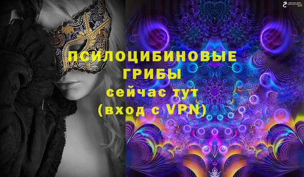 СК Алексеевка