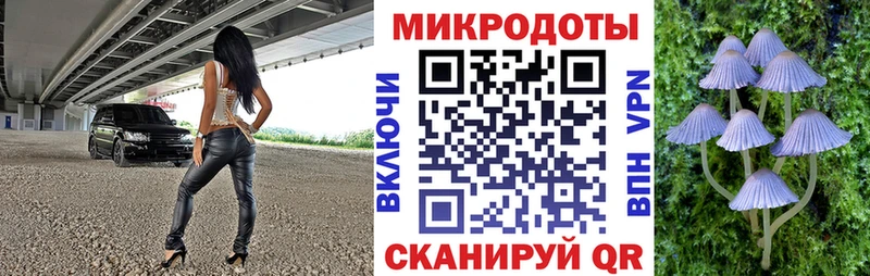 mega зеркало  Павловский Посад  Псилоцибиновые грибы Magic Shrooms 